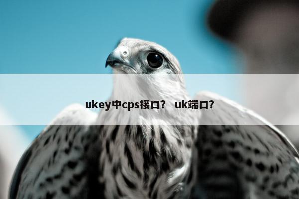 ukey中cps接口？ uk端口？
