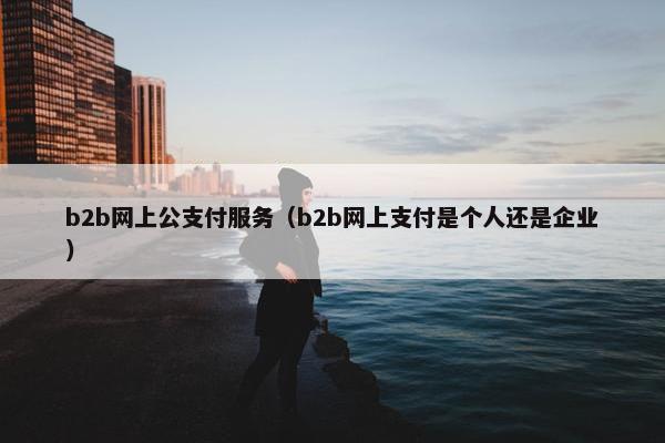 b2b网上公支付服务(b2b网上支付是个人还是企业) b2b网上公支付服务(b2b网上支付是个人还是企业)