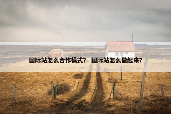 国际站怎么合作模式？ 国际站怎么做起来？