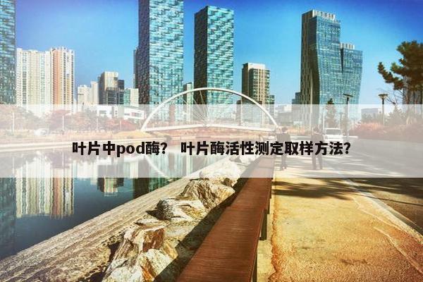 叶片中pod酶? 叶片酶活性测定取样方法?