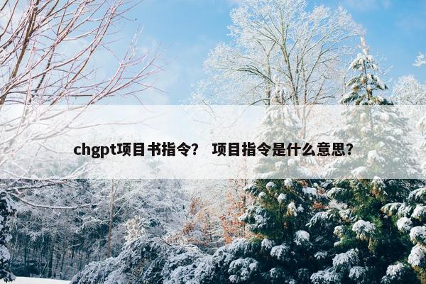 chgpt项目书指令？ 项目指令是什么意思？