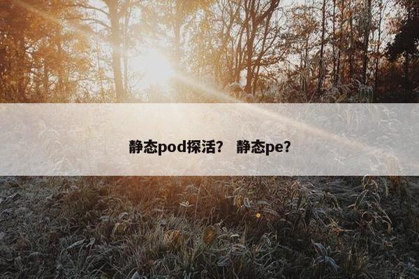 静态pod探活？ 静态pe？