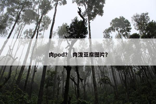 肉pod？ 肉泼豆腐图片？