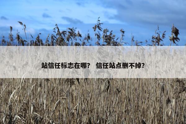 站信任标志在哪？ 信任站点删不掉？