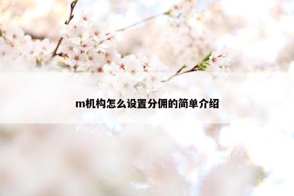 m机构怎么设置分佣的简单介绍