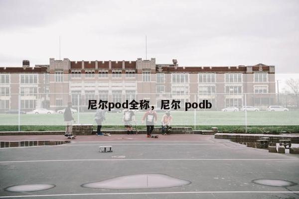 尼尔pod全称,尼尔 podb