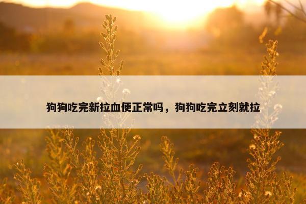 狗狗吃完新拉血便正常吗,狗狗吃完立刻就拉