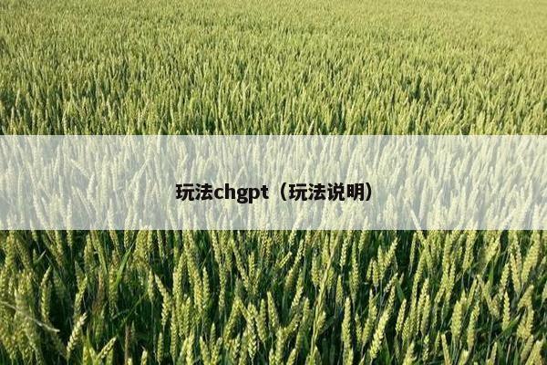 玩法chgpt（玩法说明）