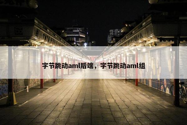 字节跳动aml后端，字节跳动aml组