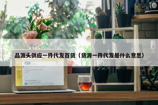 品源头供应一件代发百货（货源一件代发是什么意思）