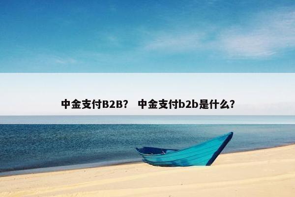 中金支付B2B？ 中金支付b2b是什么？