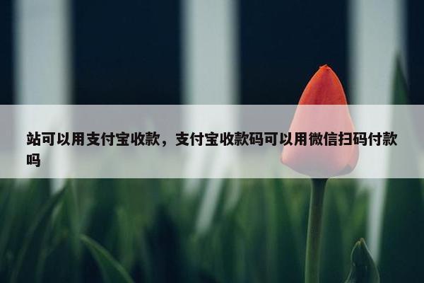 站可以用支付宝收款，支付宝收款码可以用微信扫码付款吗