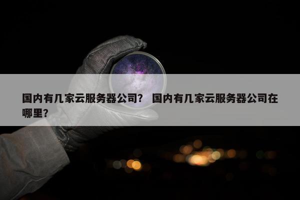 国内有几家云服务器公司? 国内有几家云服务器公司在哪里?