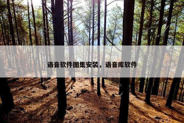 语音软件图集安装，语音库软件