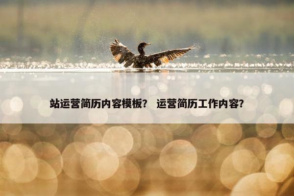 站运营简历内容模板？ 运营简历工作内容？