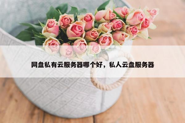 网盘私有云服务器哪个好,私人云盘服务器