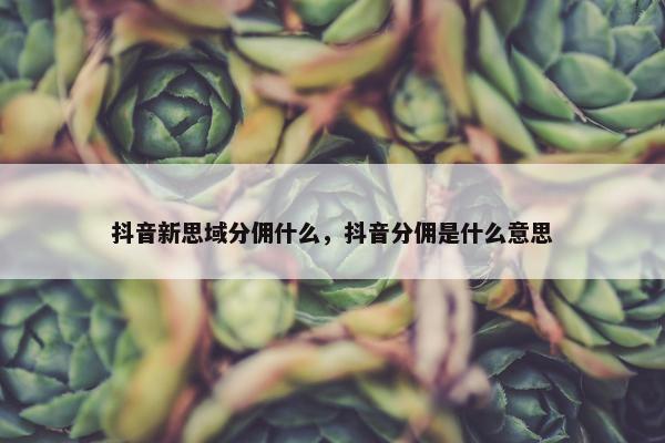 抖音新思域分佣什么,抖音分佣是什么意思