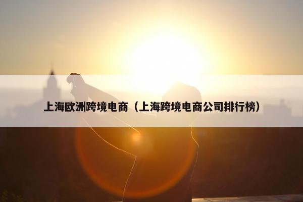 上海欧洲跨境电商（上海跨境电商公司排行榜）