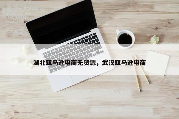 湖北亚马逊电商无货源，武汉亚马逊电商