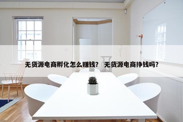 无货源电商孵化怎么赚钱？ 无货源电商挣钱吗？