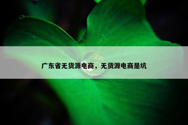 广东省无货源电商，无货源电商是坑