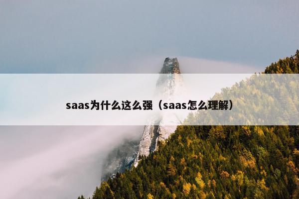 saas为什么这么强(saas怎么理解)