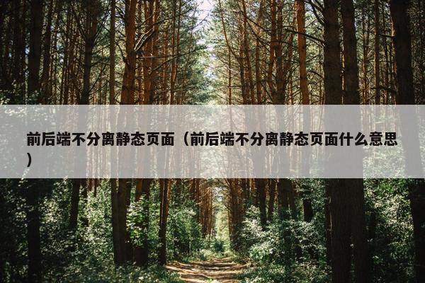 前后端不分离静态页面(前后端不分离静态页面什么意思)