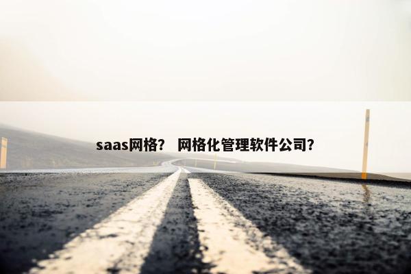 saas网格？ 网格化管理软件公司？