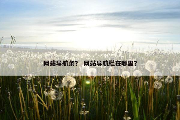 网站导航条？ 网站导航栏在哪里？