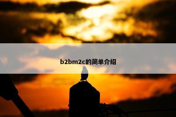 b2bm2c的简单介绍