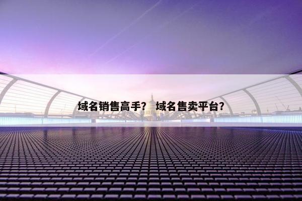 域名销售高手？ 域名售卖平台？