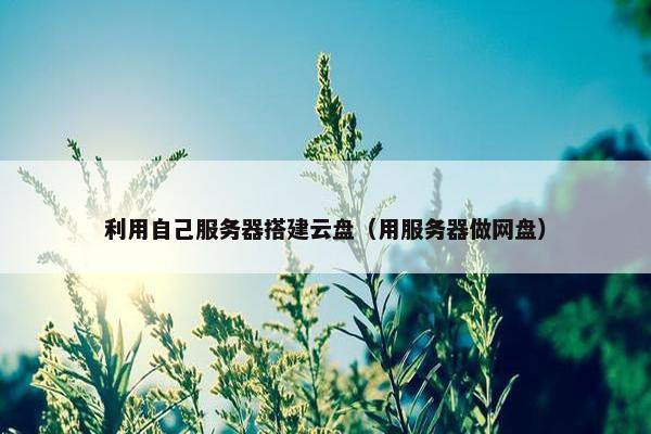 利用自己服务器搭建云盘（用服务器做网盘）