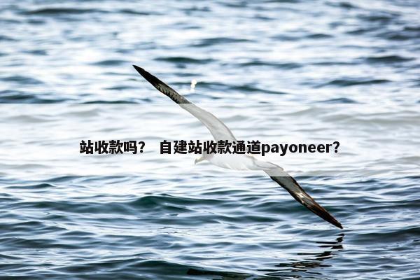 站收款吗？ 自建站收款通道payoneer？