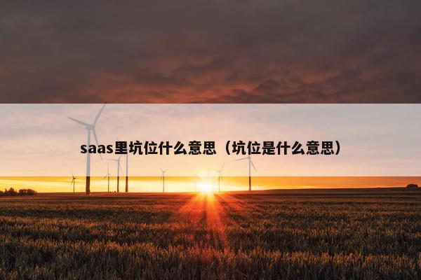 saas里坑位什么意思（坑位是什么意思）