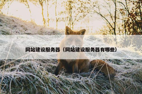 网站建设服务器(网站建设服务器有哪些)