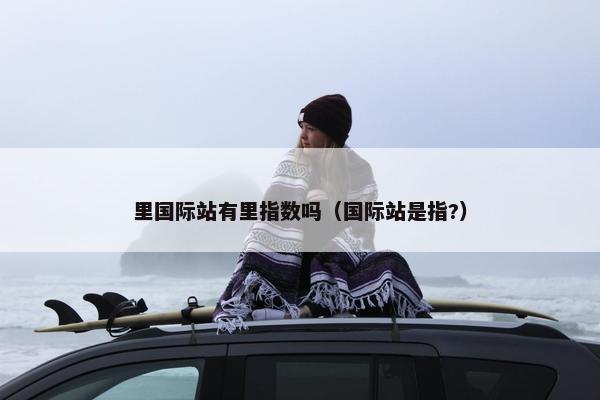 里国际站有里指数吗(国际站是指?)