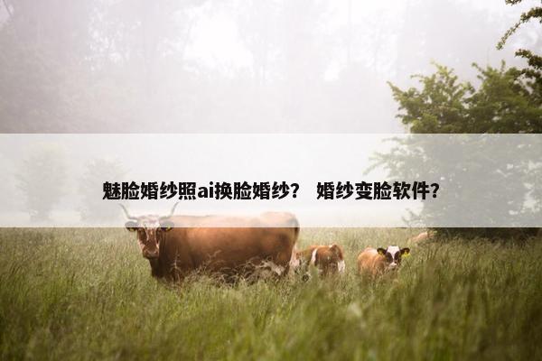 魅脸婚纱照ai换脸婚纱? 婚纱变脸软件?
