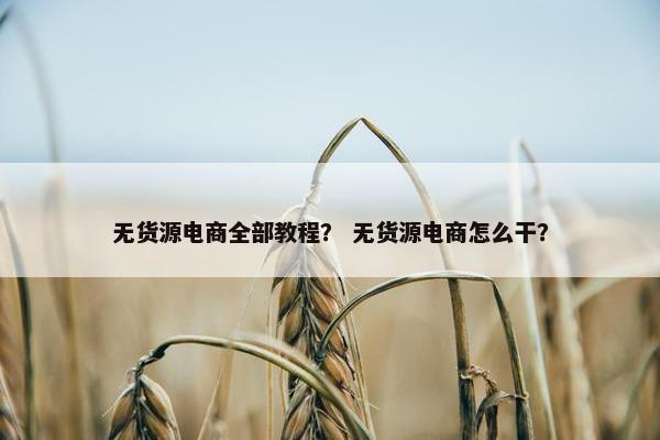 无货源电商全部教程? 无货源电商怎么干?