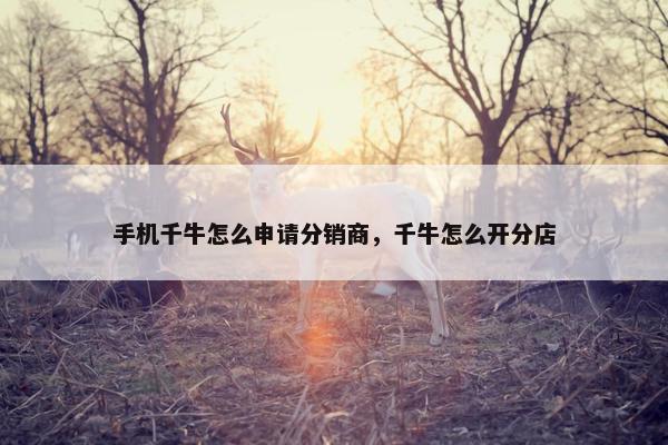 手机千牛怎么申请分销商,千牛怎么开分店