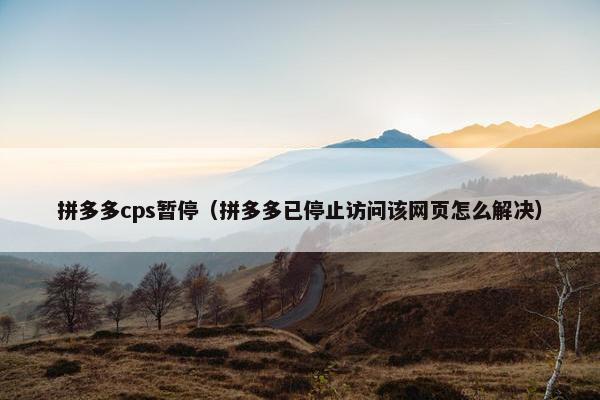 拼多多cps暂停(拼多多已停止访问该网页怎么解决)
