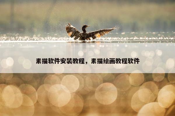 素描软件安装教程，素描绘画教程软件