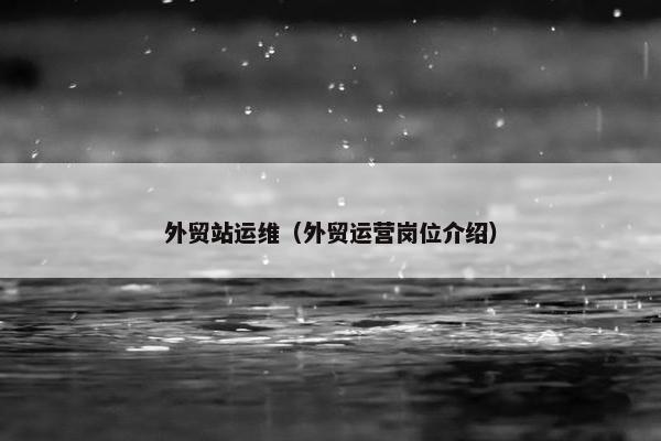 外贸站运维(外贸运营岗位介绍) 外贸站运维(外贸运营岗位介绍)