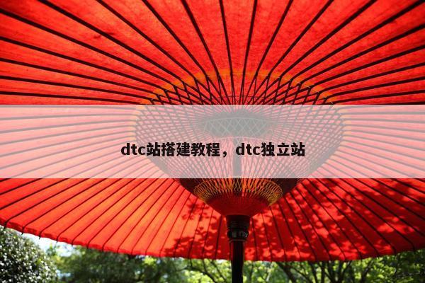 dtc站搭建教程，dtc独立站