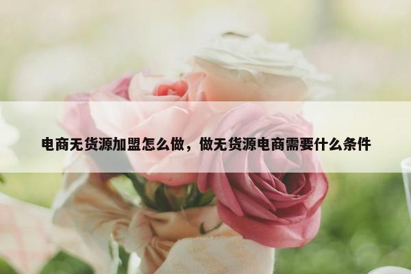 电商无货源加盟怎么做,做无货源电商需要什么条件