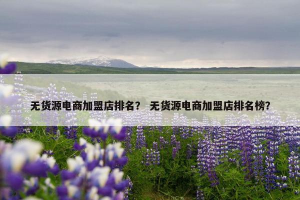 无货源电商加盟店排名？ 无货源电商加盟店排名榜？