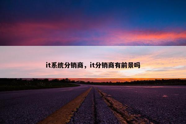 it系统分销商，it分销商有前景吗