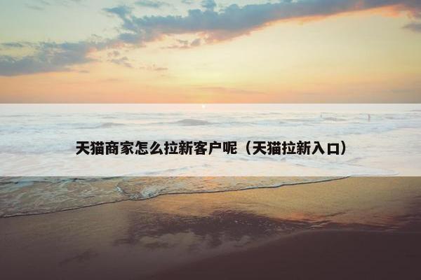 天猫商家怎么拉新客户呢（天猫拉新入口）