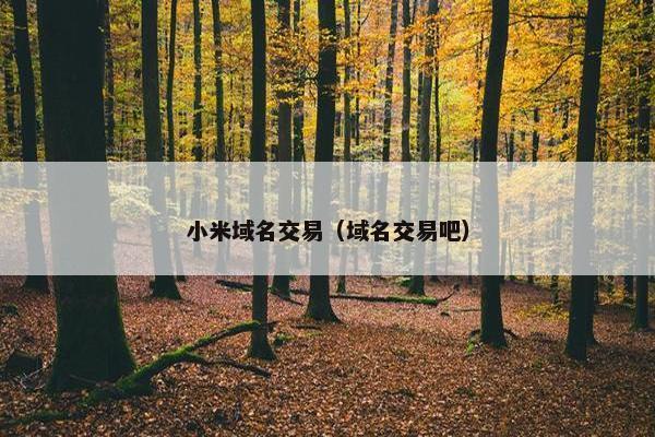 小米域名交易(域名交易吧)