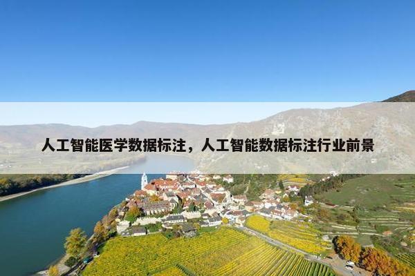 人工智能医学数据标注,人工智能数据标注行业前景