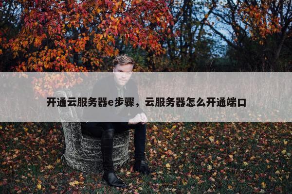 开通云服务器e步骤，云服务器怎么开通端口